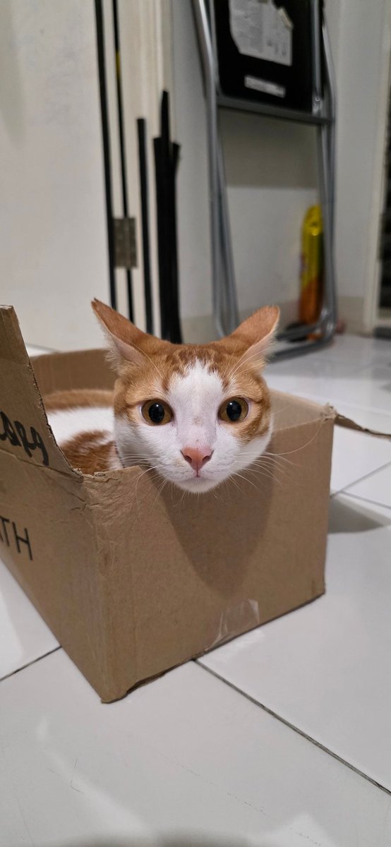 gak semua seriawan itu tweet media