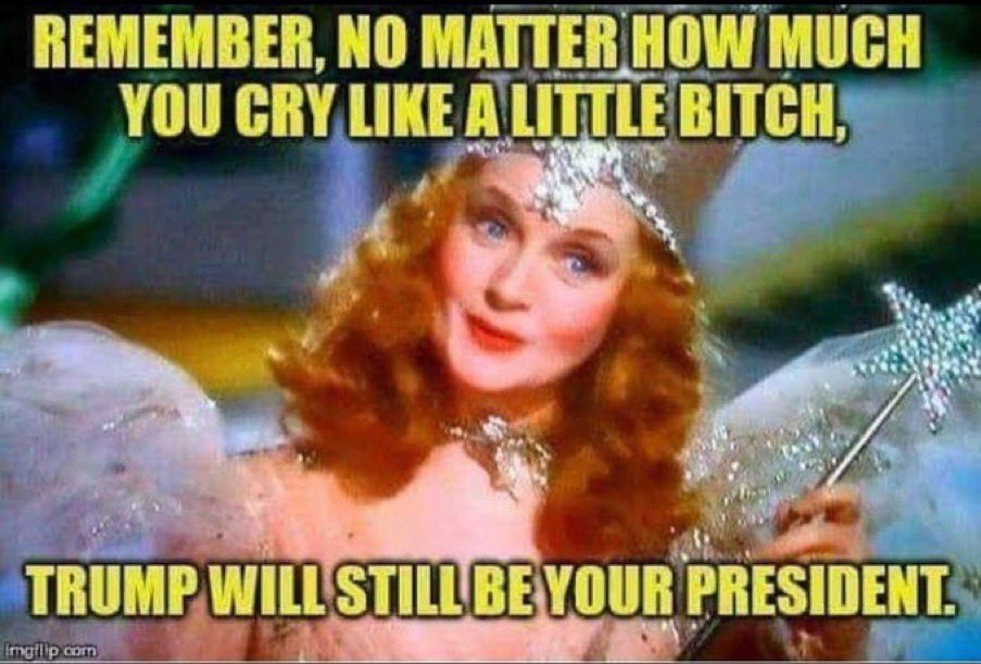 b r i a n 🇺🇸 tweet media