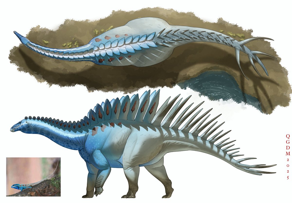 Calotes mystaceus Color Scheme for Versatile Use.