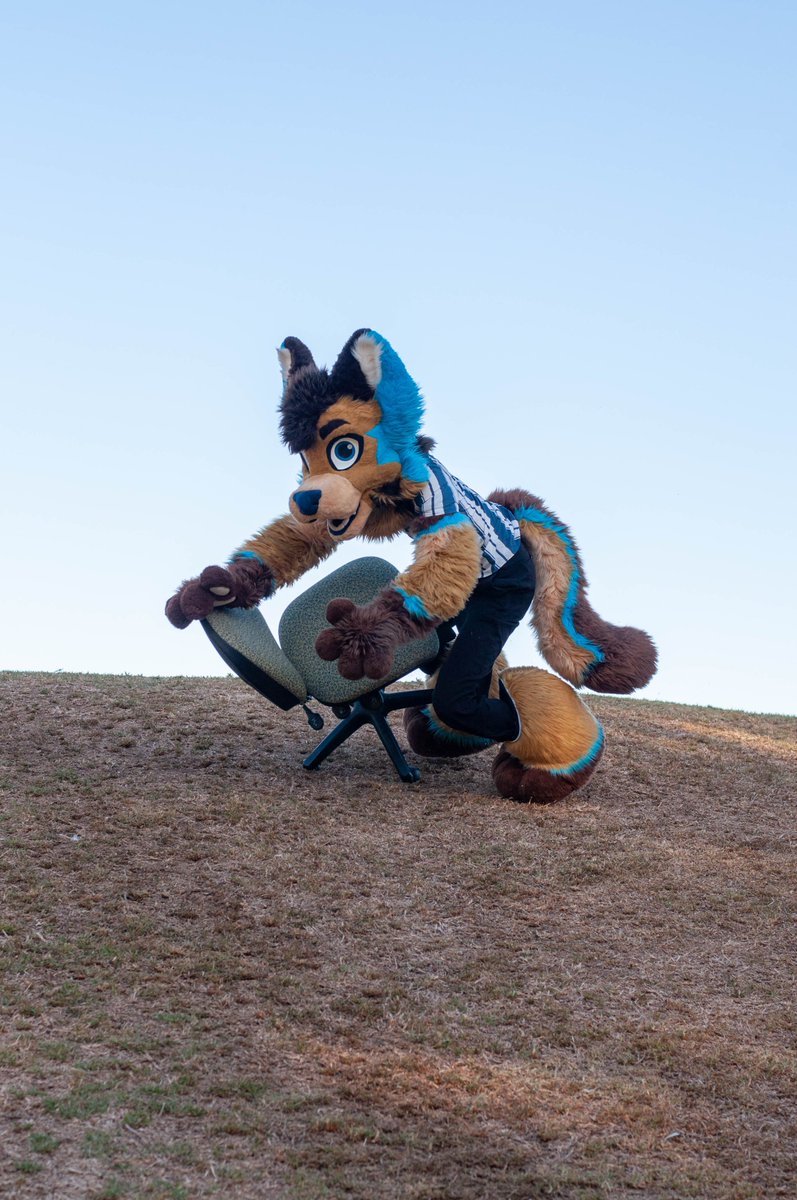 RexTheThirdAU's tweet image. &quot;dont ride an office chair down a mountain...&quot;