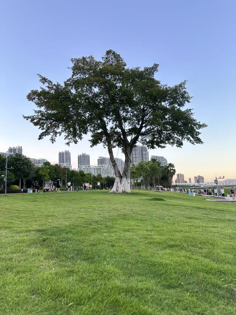 A Moment for Picnics  <a href="/opensea/">OpenSea</a>
touch grass 🌱🌱🌱    #openseatouchgrass
