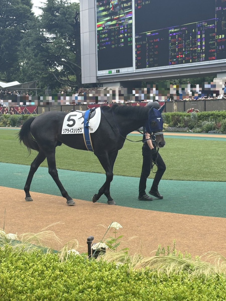 競馬専門紙「優馬」 on X: 