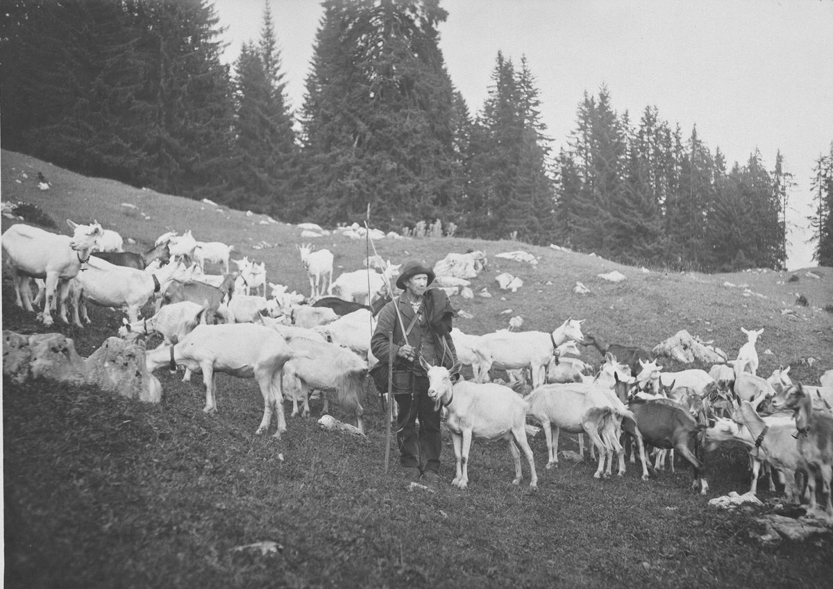 Thomas Schmid tweet media