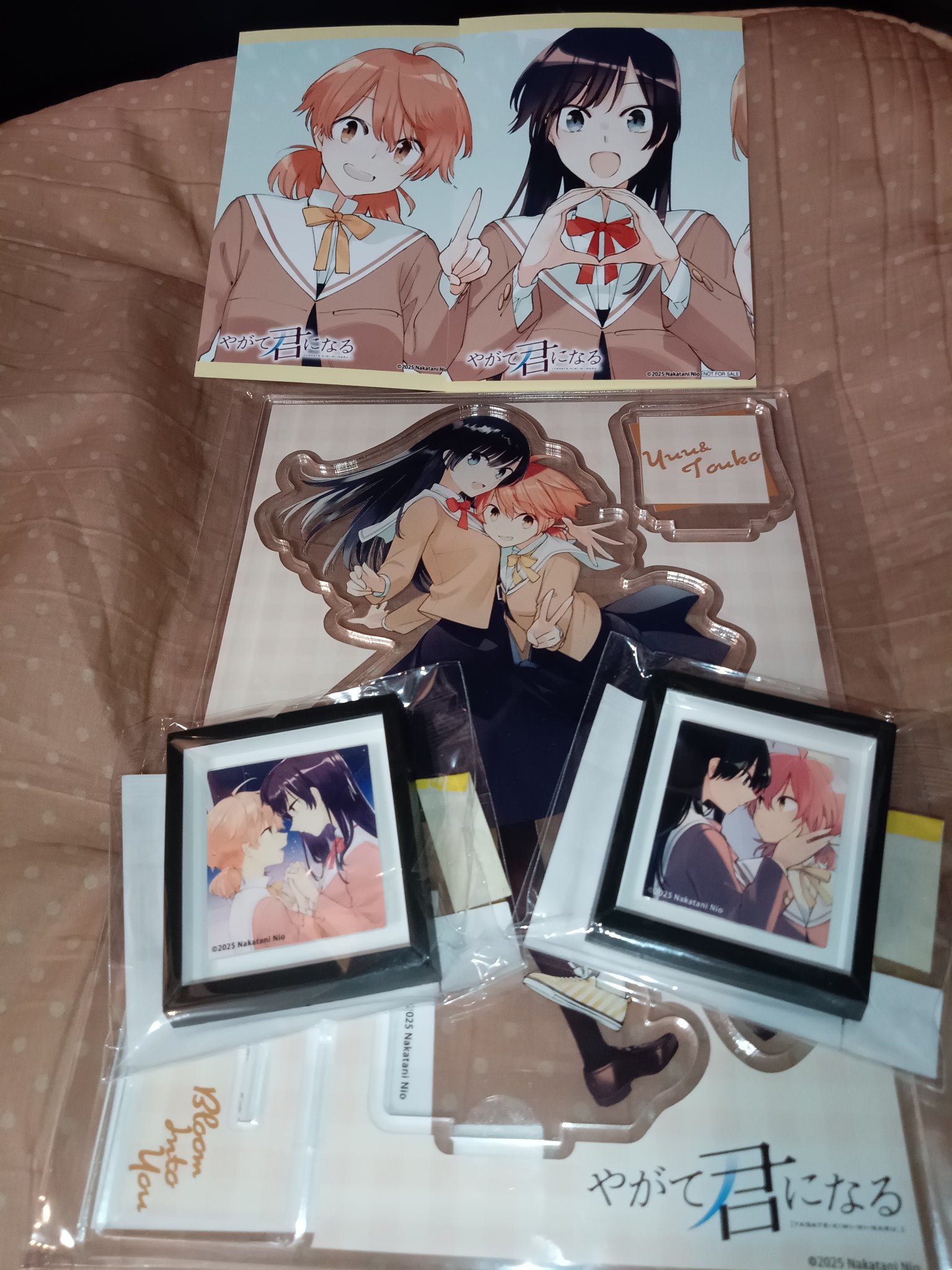 やがて君になる 特典ポストカード