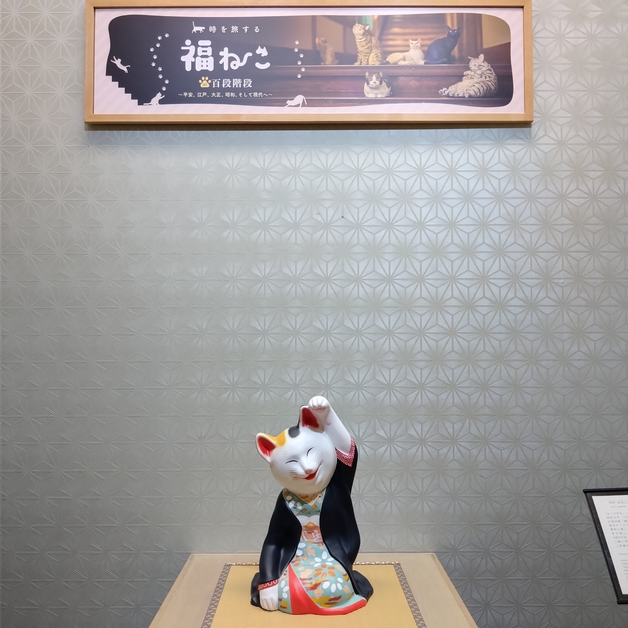 みけねこ。 (@mike_myi) / X