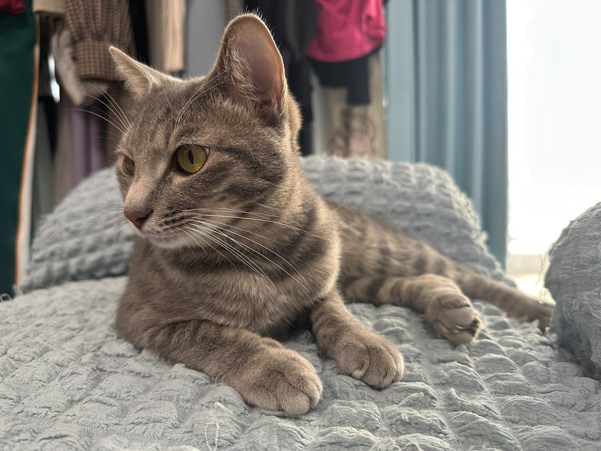 そして！ 単独ライブ中に放送されておりましたが、 新しく家族が増え