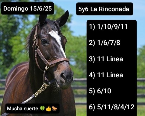 Mucha suerte amigos 🍀👍🐎 
Seguimos 👍
