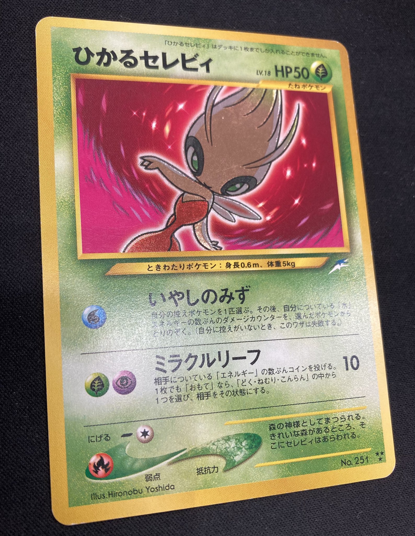 ひかるセレビィ ひかるハガネール 旧裏 各1枚
