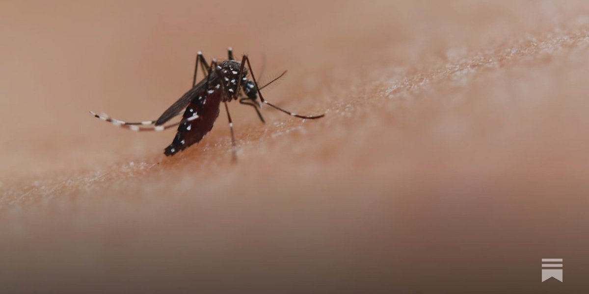Srilanka is facing health crisis from 3 major diseases: Dengue, Chikangunya and Covid 19.
Reported cases and deaths from them is as follows :

1) Dengue: 25000 cases and 13 deaths. ( June 2025 )
May deaths- 10
June so far- 3

2) Chikangunya: Srilanka is experiencing first major
