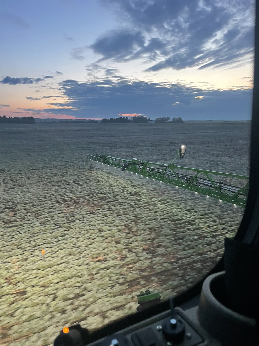 Bryce Thom tweet media