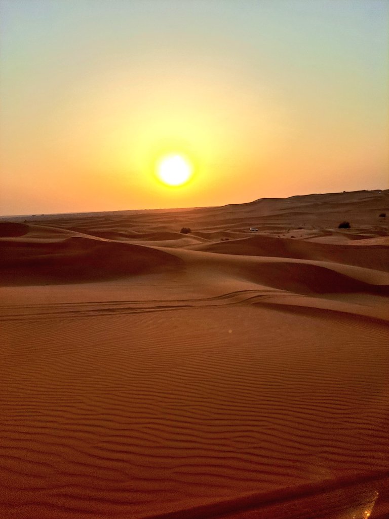 Spent the final day in the desert yesterday. What a way to end this vacation. Let's go home ✈️

Can't wait to see my babies 🐕