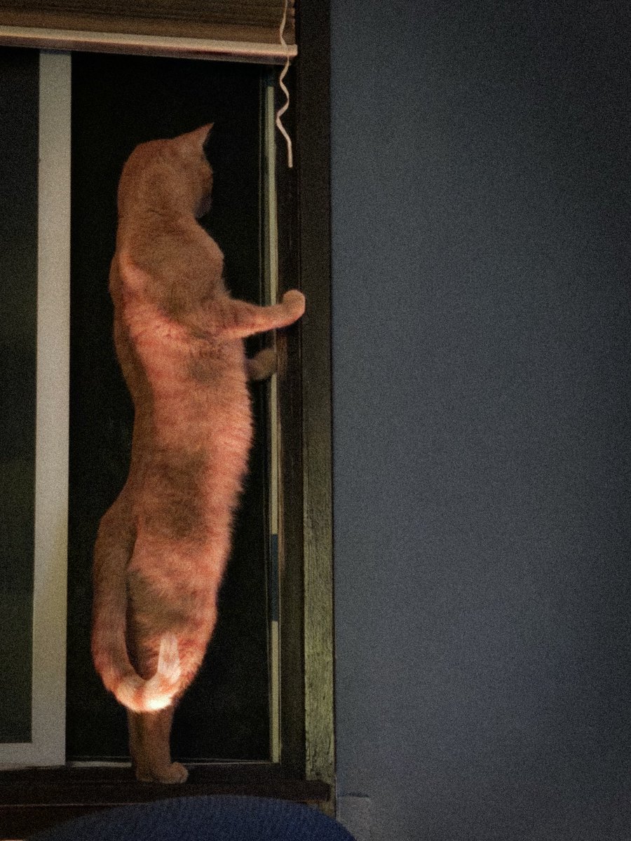 Michael Blackstone | (phsds) 🥽🏗️ (@bl0ckstone) on Twitter photo 