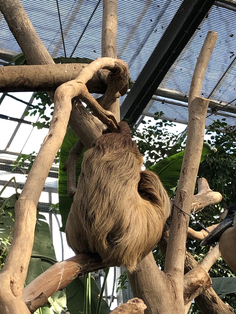 後ろ姿からしか得られない栄養があるので見た人も貼る