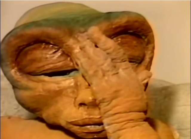 Dave Jackson tweet media