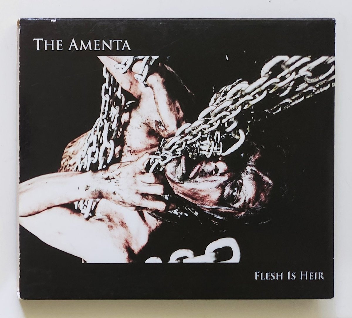 The Amenta - Flesh Is Heir

#Extreme #Ugly #Dark #Noise #Metal