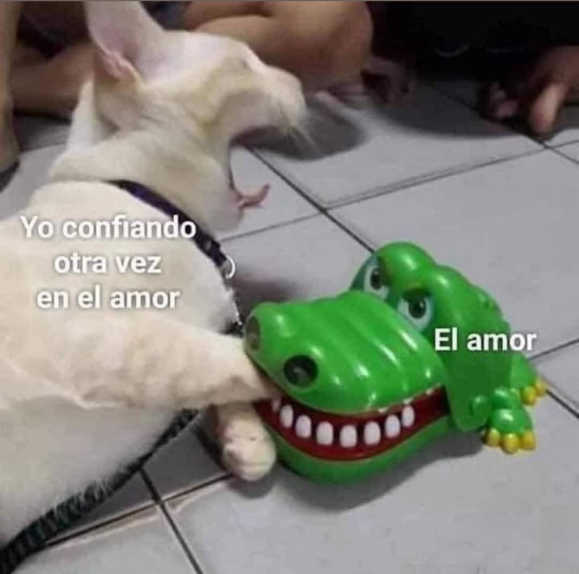 #SabadoDeRelacionesToxicas <a href="/nenadelafuente/">Denisse De La Fuente</a>