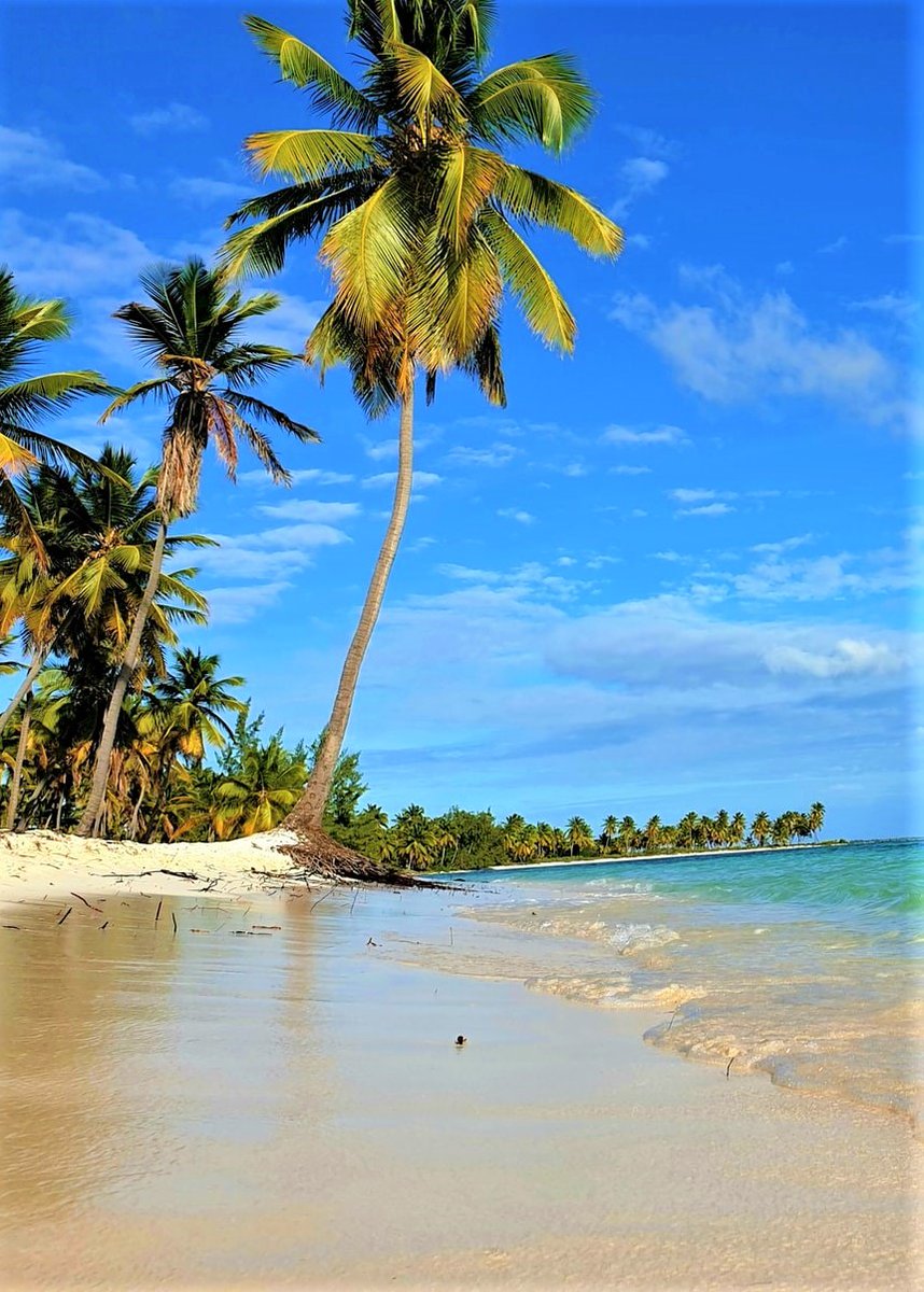 Saona Island-Dominican Republic.