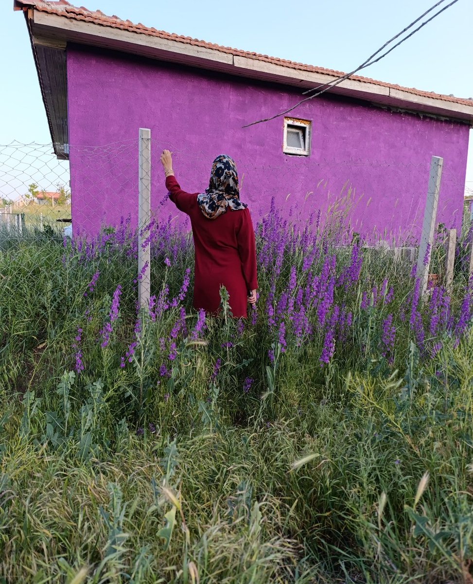 🪻Bütün suçum bu benim 
🪻🪻Evreni kucaklamak

#Günaydın  🪻🪻🪻🪻🪻🪻🪻🪻🪻🪻🪻🪻🪻🪻🪻🪻🪻🪻🪻🪻#Günaydın