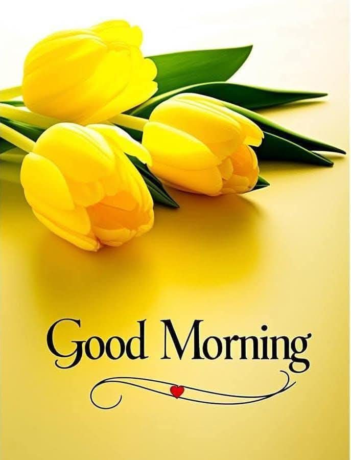 Good morning 🌄🌅