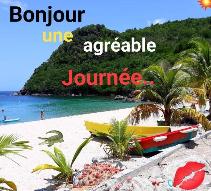 Un bon dimanche et une bonne fête des pères. Café?☕️🥐🍒🇲🇫🌞🕶🏖🌿🥀☘️🌷😊