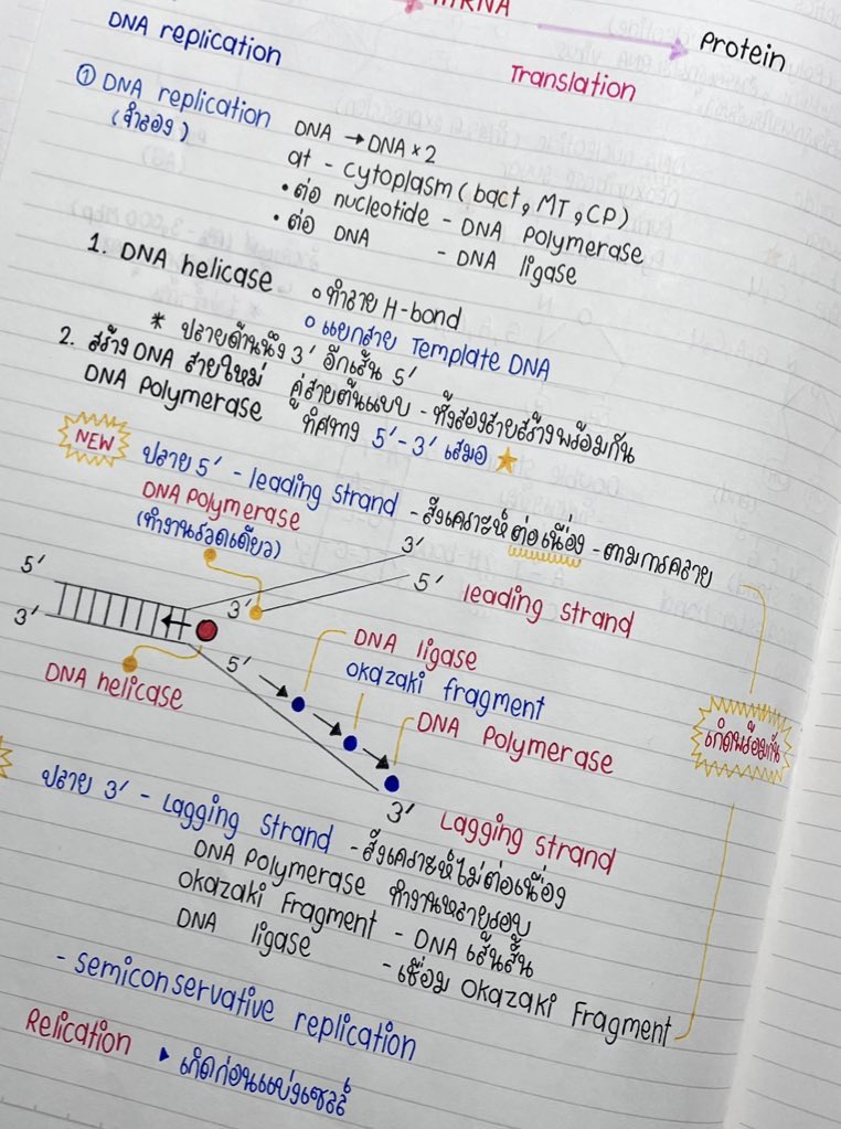 yourgenthur's tweet image. “ อ่าน ทำความเข้าใจ ก่อนสรุป ” ก่อนเขียนเราจะอ่านเนื้อหา เรียบเรียงในหัวก่อนค่อยสรุปค่ะ
สรุปในสมุด📓 - เน้นเนื้อหาละเอียด ครอบคลุม เรียนอะไรมาสรุปแบบนั้น อ่านภาพรวม เรียงเรียงคร่าวๆ เข้าใจก่อนค่อยเขียนค่ะ ไม่ลอก
สรุปใน ipad 📱- เปิดสรุปในสมุด + อ่านคู่สสวท.…