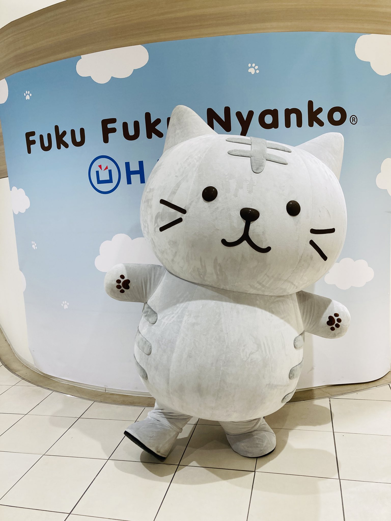 楽天市場】クリアファイル A4 猫 可愛い キャラクター ギフト