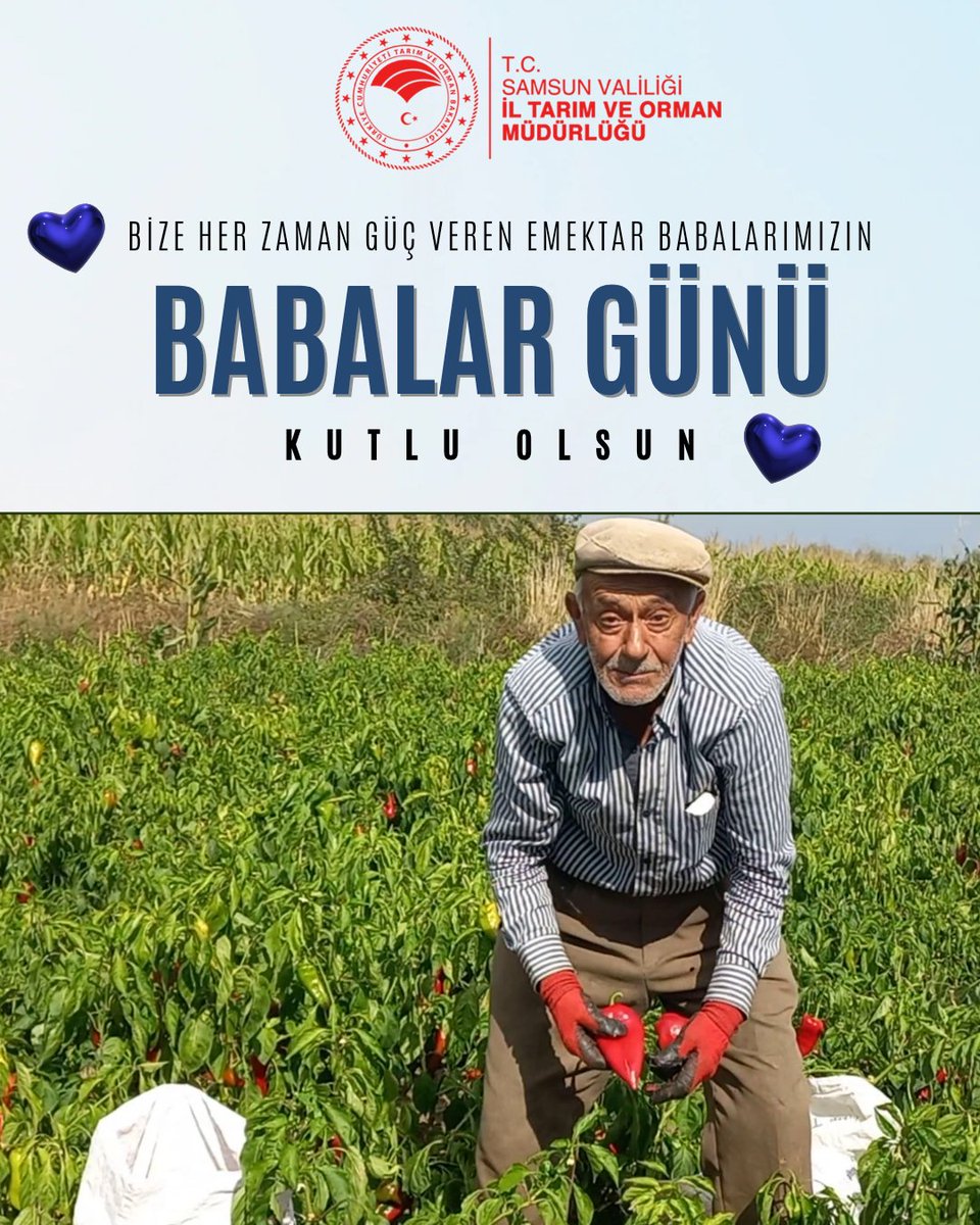 Samsun İl Tarım ve Orman Müdürlüğü (@samsuntrm) on Twitter photo Toprağın bereketine alın terini katan, üretimin yükünü omuzlayan emektar babalarımız...
Tarımın kalbindeki bu sessiz kahramanların #BabalarGünü'nü kutluyor, sağlık ve bereket diliyoruz.
İyi ki varsınız! 🌾👨🌾
#BabalarGünü #TarımınEmektarları
<a href="/TCTarim/">T.C. Tarım ve Orman Bakanlığı</a>
<a href="/SamsunTRM/">Samsun İl Tarım ve Orman Müdürlüğü</a>
<a href="/ibrahimsaglam46/">İbrahim SAĞLAM</a> Toprağın bereketine alın terini katan, üretimin yükünü omuzlayan emektar babalarımız...
Tarımın kalbindeki bu sessiz kahramanların #BabalarGünü'nü kutluyor, sağlık ve bereket diliyoruz.
İyi ki varsınız! 🌾👨🌾
#BabalarGünü #TarımınEmektarları
<a href="/TCTarim/">T.C. Tarım ve Orman Bakanlığı</a>
<a href="/SamsunTRM/">Samsun İl Tarım ve Orman Müdürlüğü</a>
<a href="/ibrahimsaglam46/">İbrahim SAĞLAM</a>