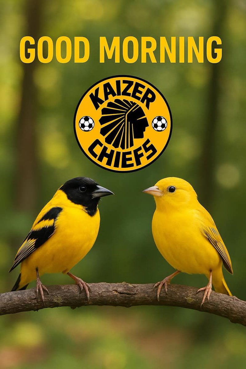 To all responsible Khosi Dad's enjoy your day. From <a href="/KaizerChiefs/">Kaizer Chiefs</a> Botlokwa Branch.