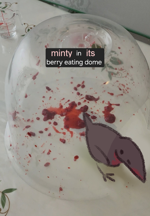 mintcrows's tweet image. im alive just sick hi