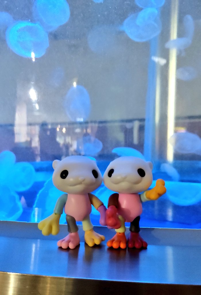 ruumin810's tweet image. 水族館満喫してきましたー！
とても癒やされました😊
#モンスターファクトリー