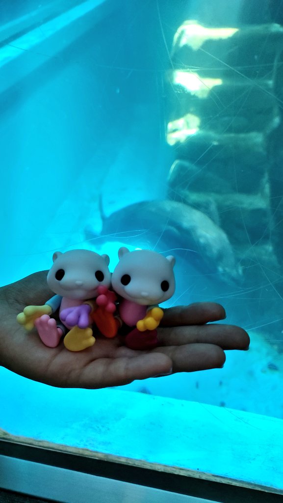 ruumin810's tweet image. 水族館満喫してきましたー！
とても癒やされました😊
#モンスターファクトリー