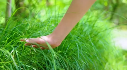 1978426.eth🚢 tweet media