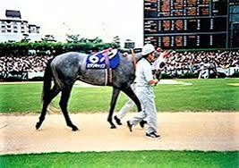 宝塚記念、オグリキャップ2着から35年😀現地観戦した阪神競馬場は改修