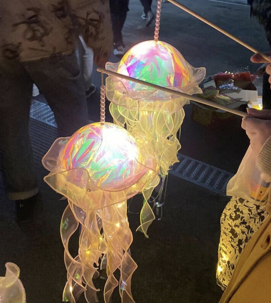 jellyfish lanterns 🪼