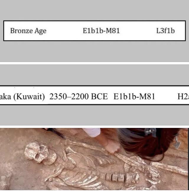 عمو حاتم tweet media