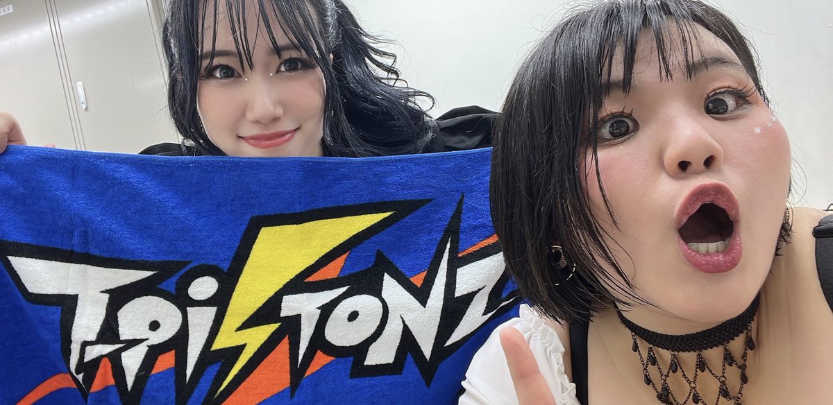 あや カトレア カドレア Puig 21767H Z-RACING SCREEN [SMOKE] Kawasaki ZX-4R