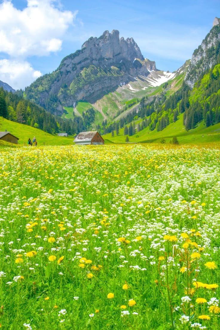 Switzerland_aib's tweet photo. https://t.co/MzgBa5psqP