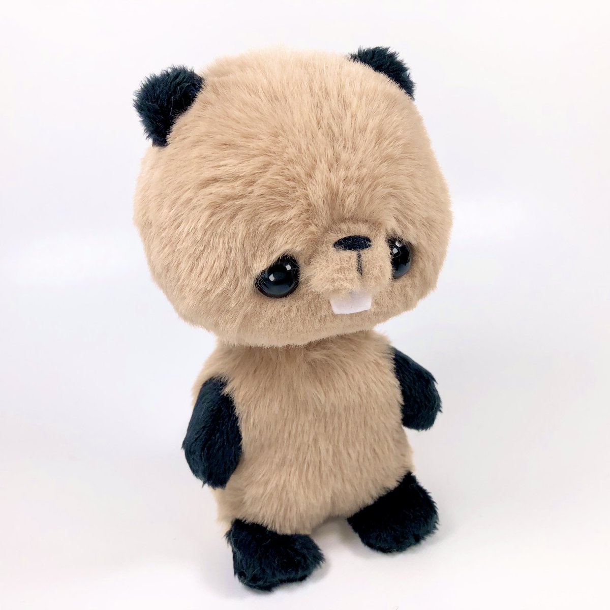 ※送料無料※ビーバーちゃん
minne.com/items/43234876

前歯がかわいいビーバーちゃんが誕生しました˖✧◝(⁰▿⁰)◜✧˖°