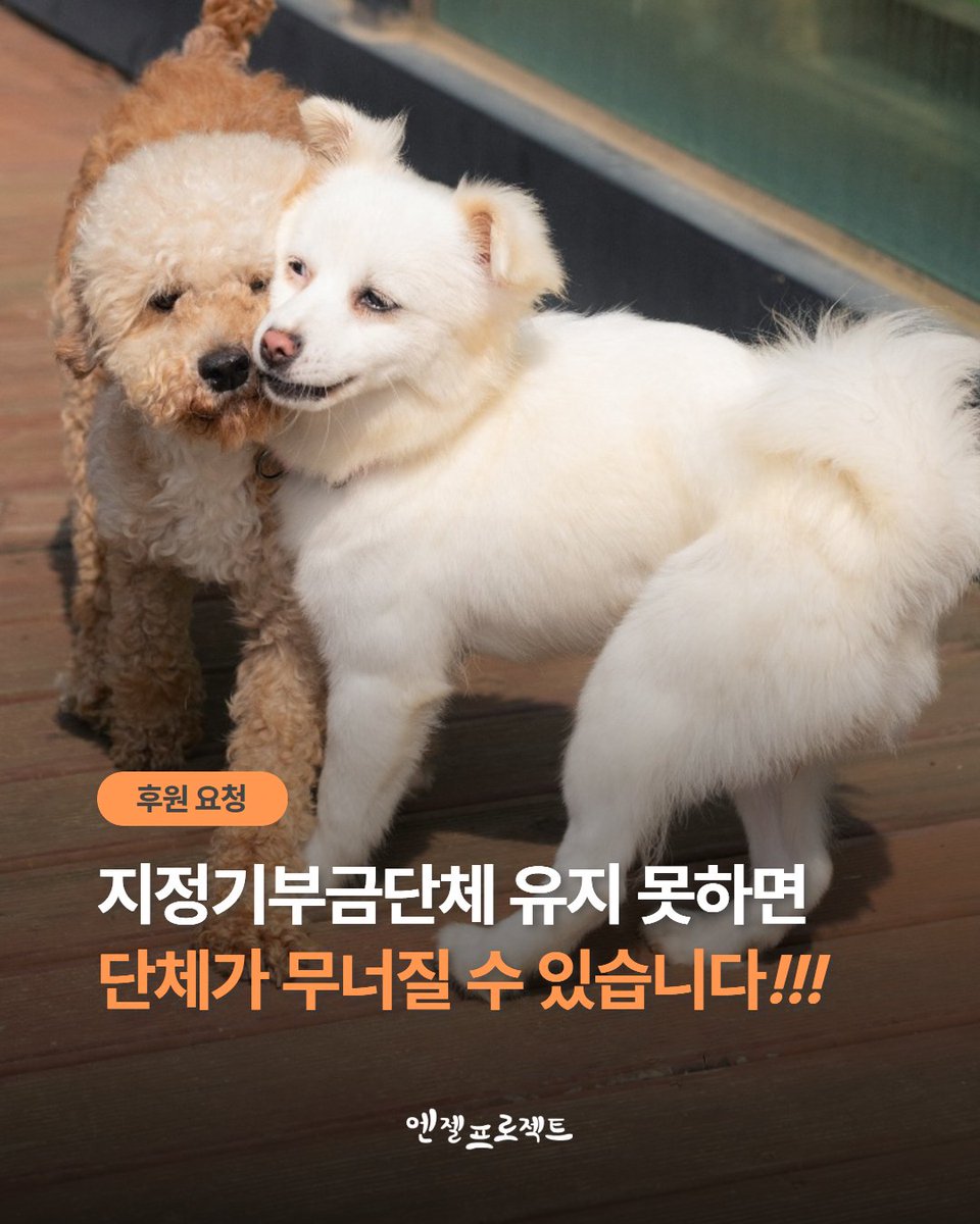 엔젤프로젝트 2020년 트위터로 부터
시작되어 벌써 이렇게 왔네요
이미 많은아이들의 생명을 구했고
가족도 찾아주었지만아직 남은 숙제도
많은데 작년 하반기부터 이어진 불황이
타격이 큽니다 ㅜ
지금도 내지못한 미납금들이 있어 괴롭네요 

도와주세요 지속되도록 !!!