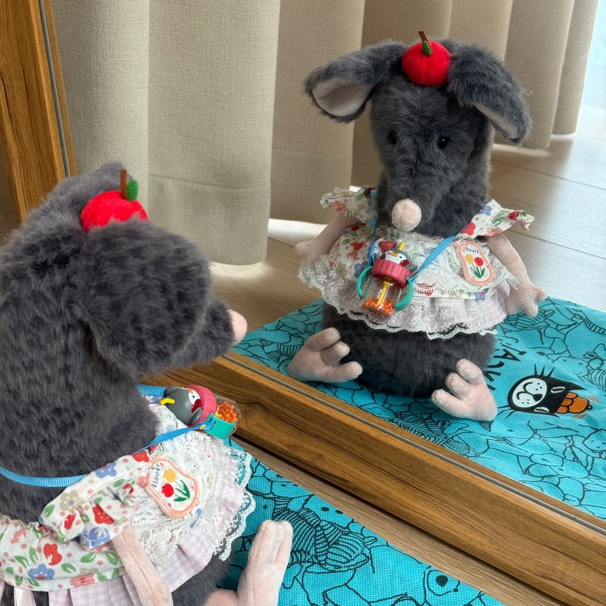 给我的鼠穿上裙子⁰⃚⃙̴ ༝ ⁰⃚⃙̴