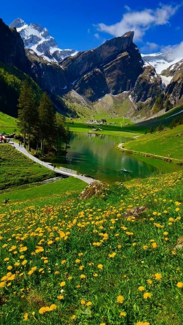 Switzerland_aib's tweet photo. https://t.co/zCyVFcOMKJ