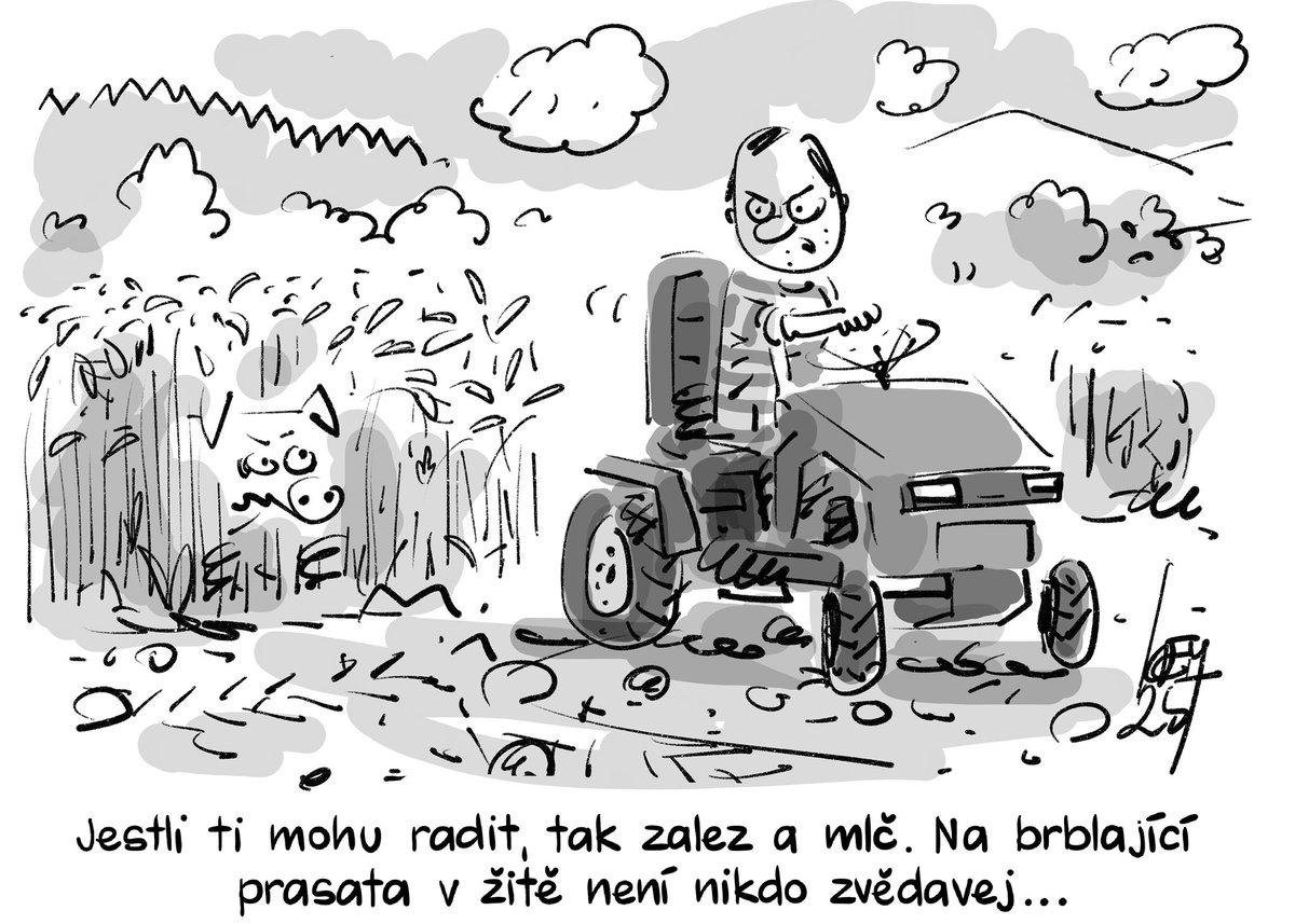 Miroslav Kemel (@miroslavkemel) on Twitter photo 