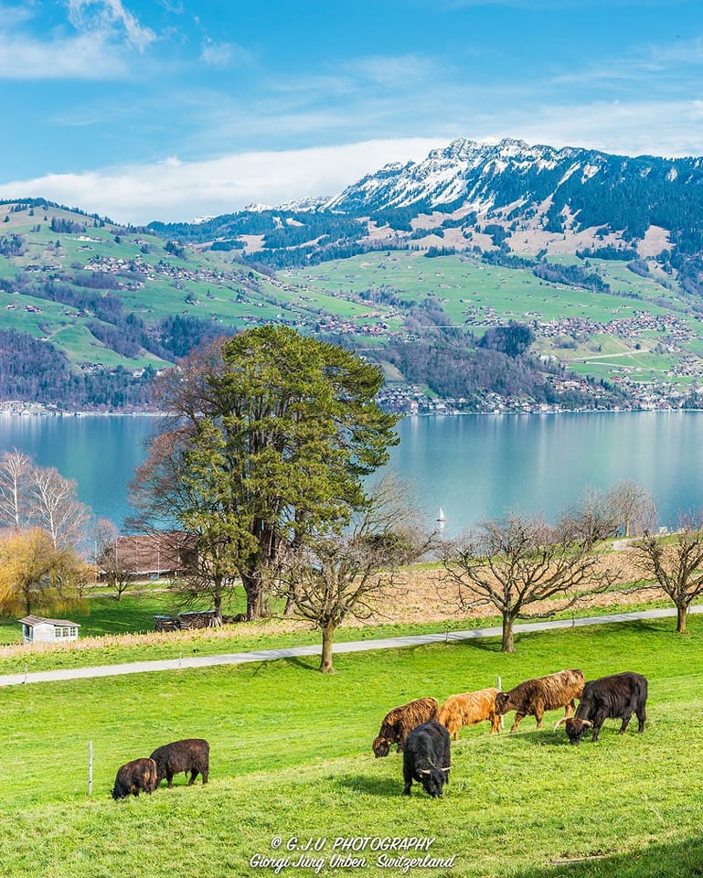 Beautiful Switzerland