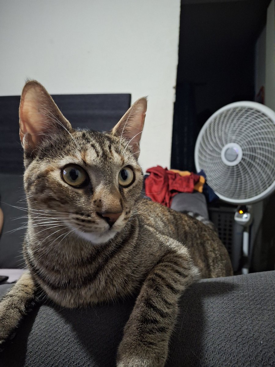 Hugo Jimenez tweet media