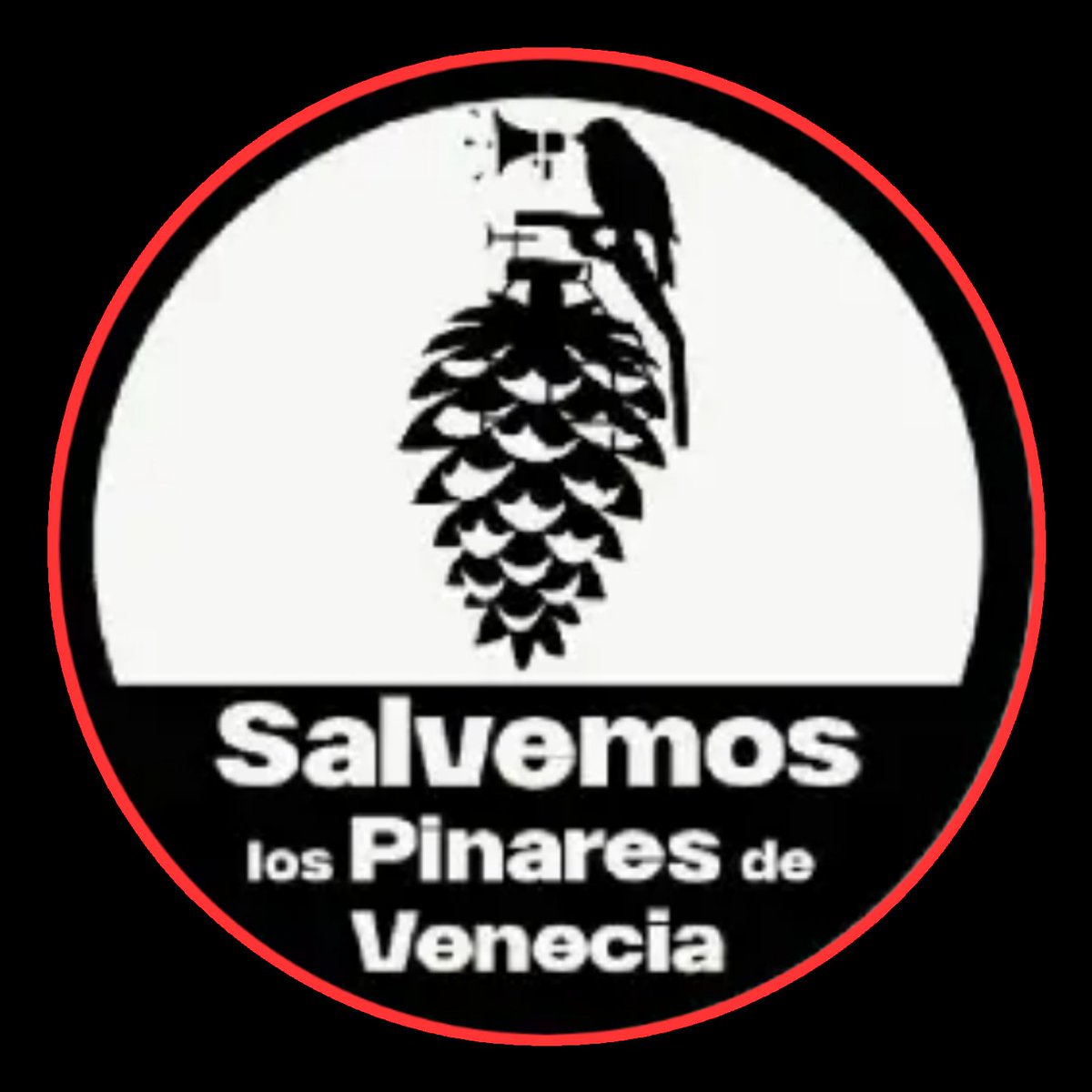 SALVEMOS LOS PINARES DE VENECIA DE ZARAGOZA

El Ayuntamiento  Zaragoza quiere ampliar el parque de atracciones y para ello tiene que talar+de 2000 pinos,
contradice el objetivo de la ciudad de ser carbono neutral para 2030
Los votos de PP y VOX aprobaron la modificación necesaria