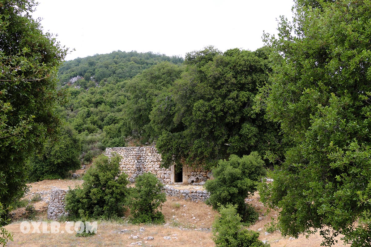 onefineart's tweet photo. A beautiful forgotten old house near the Historical church of Habil Jbeil Byblos Mount Lebanon - Check the video https://t.co/bXrMd62TSA
#forgot #forgottenhouse #oldhouse #historical #church #oldchurch #habil #habeel #lebanon #jbeilbyblos https://t.co/yvZwkAessi