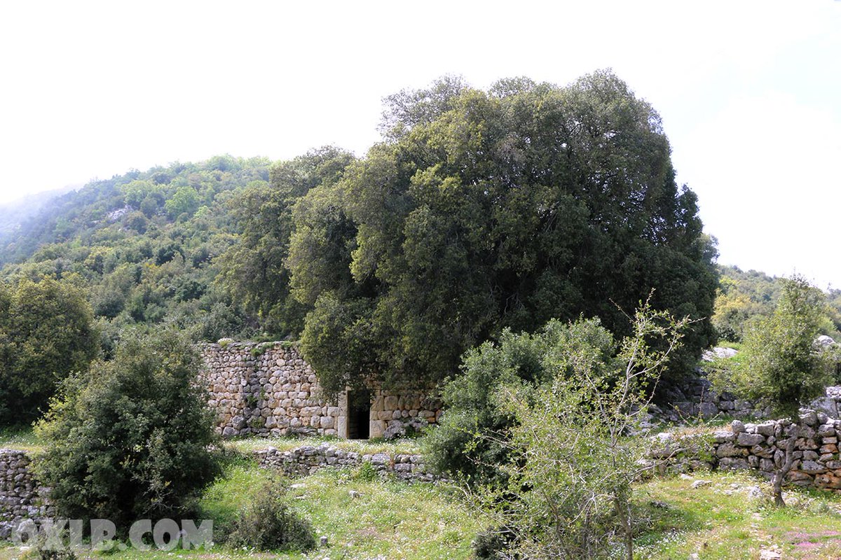 A beautiful forgotten old house near the Historical church of Habil Jbeil Byblos Mount Lebanon - Check the video youtu.be/bSQqKPrhCGM

#forgot #forgottenhouse #oldhouse #historical #church #oldchurch #habil #habeel #lebanon #jbeilbyblos
