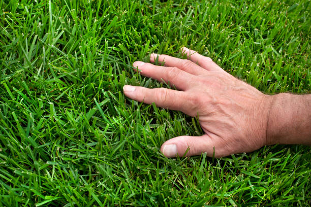 #openseatouchgrass