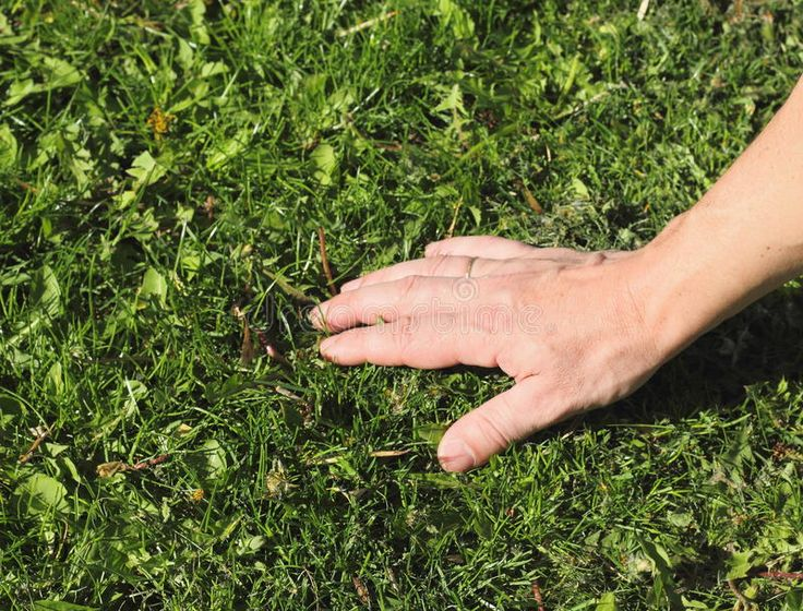 #openseatouchgrass