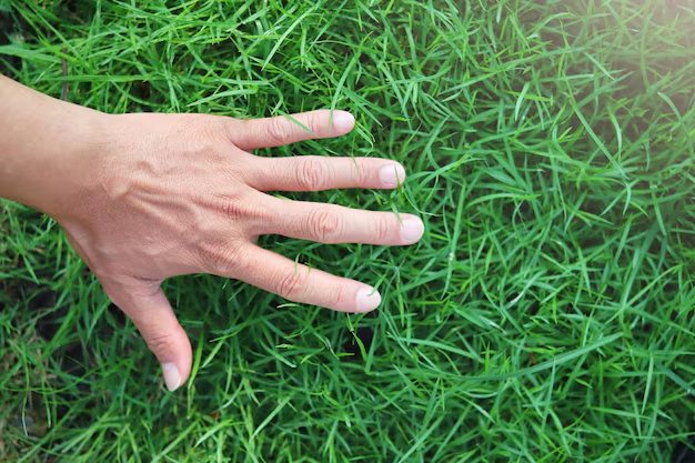 #openseatouchgrass